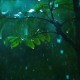 用户名：夏***