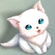用户名：xuj***