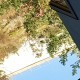 用户名：蜡***