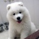 用户名：ama***