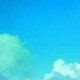 用户名：Jas***