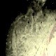用户名：shi***