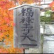 用户名：rui***