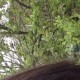 用户名：Sun***