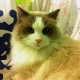 用户名：Ken***