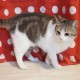 用户名：hel***