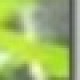 用户名：new***