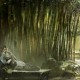 用户名：gar***